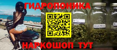 a pvp Пушкино