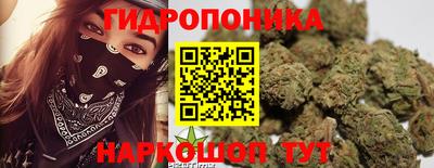a pvp Пушкино